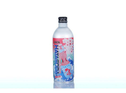 HATA RAMUNE METAL BOTTLE